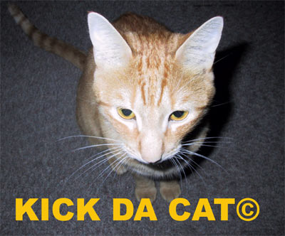 http://syn.fr/hfr/kick/kickdacat.jpg
